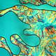 Illustration for article titled I Want to Live in this Magical Microscopic Ice World